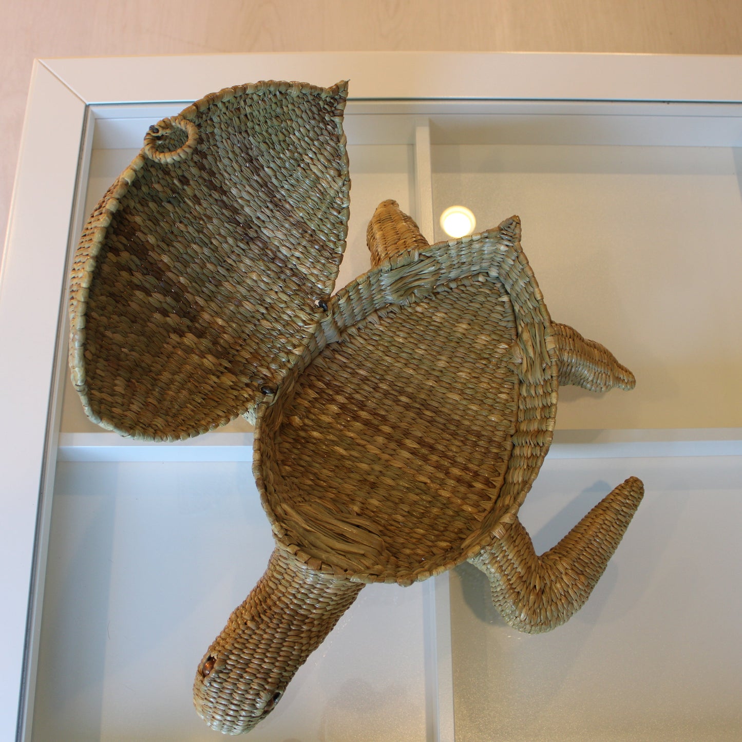 Handwoven small turtle chest in natural reed Chuspata - Mexican artisan storage
