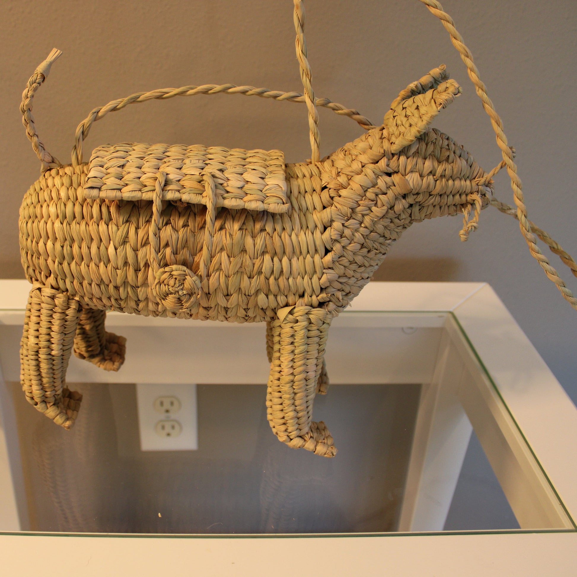 Handwoven cat purse in natural reed Chuspata - Mexican artisan handbag